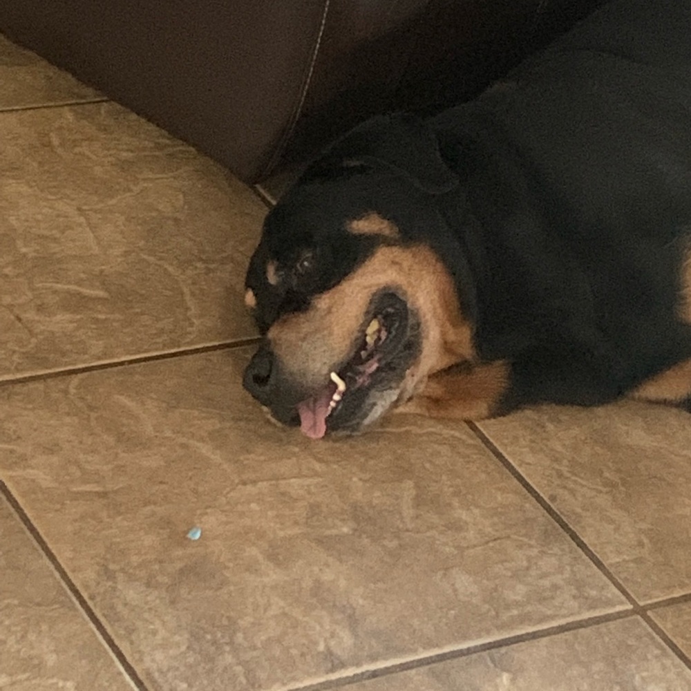 Meet your Posher, Faith